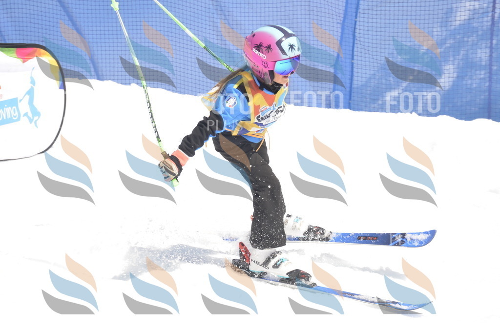 _ELE9565 | holidayphoto