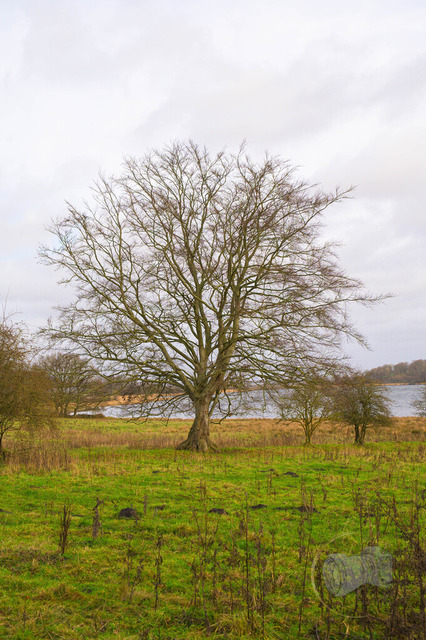 _DSC9205 | Shop für Prints Landschaftsfotografie Sächsische Schweiz Naturfotografie in Thüringen Fotos vom Findlingspark Nochten Kloster Sankt Marienstern Bilder Festung Königstein PanoramaRhododendronpark Kromlau FotogalerSchleswig-Holstein Küstenlandschaften