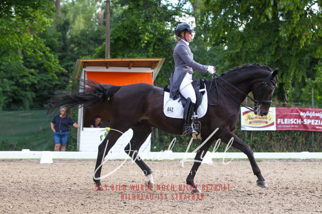 DKP41454 | Turniersportfotografie; Pferdefotografie; Dressurfotografie