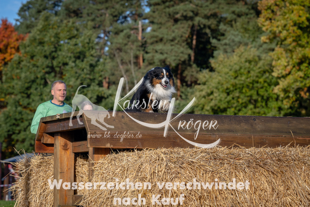 0927_ZZ90537 | kk-dogfotos