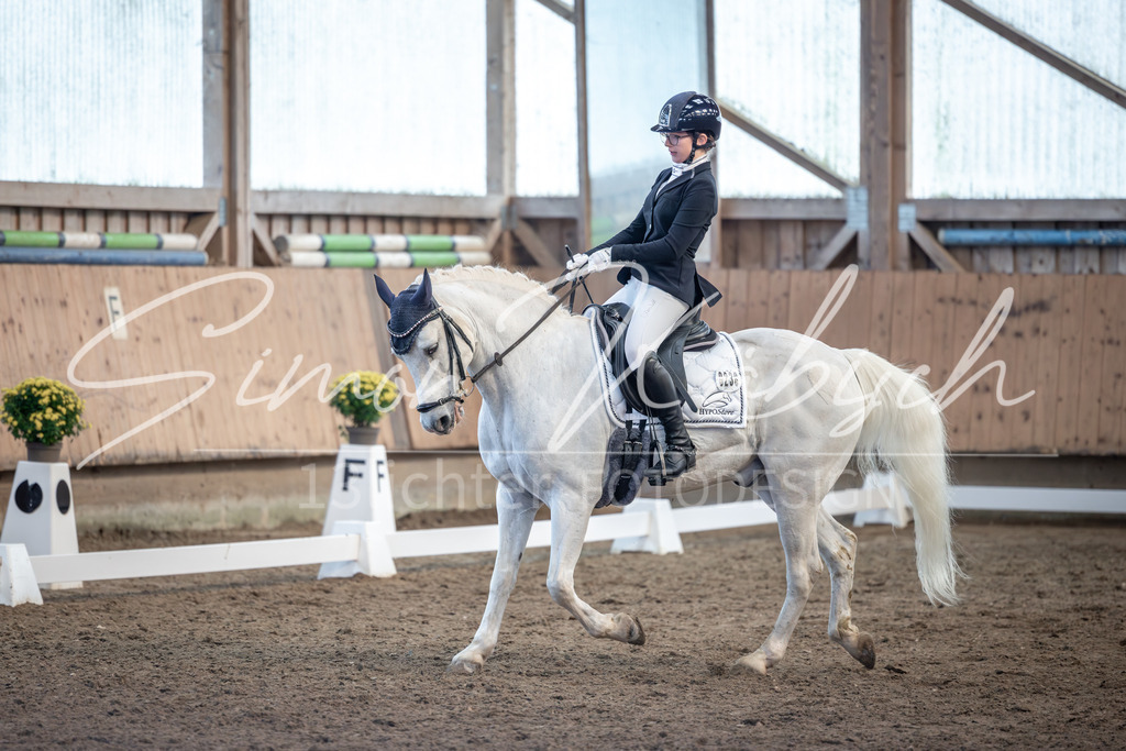 20251011-_3LI7116 | Tierfotografie Pferde, Hunde, Katzen, Haustiere.
Turnierfotografie Reitturniere, Reiten, Springreiten, Dressur in Hanau, dem Main-Kinzig-Kreis und dem Rhein-Main- Gebiet um Frankfurt