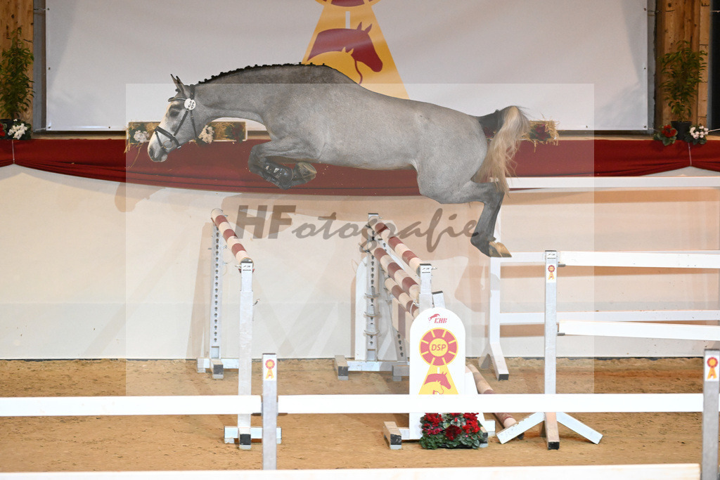 Kat-Nr. 36 Vingino_Stahl_1231086 | hf-fotografie - Realizzato con Pictrs.com