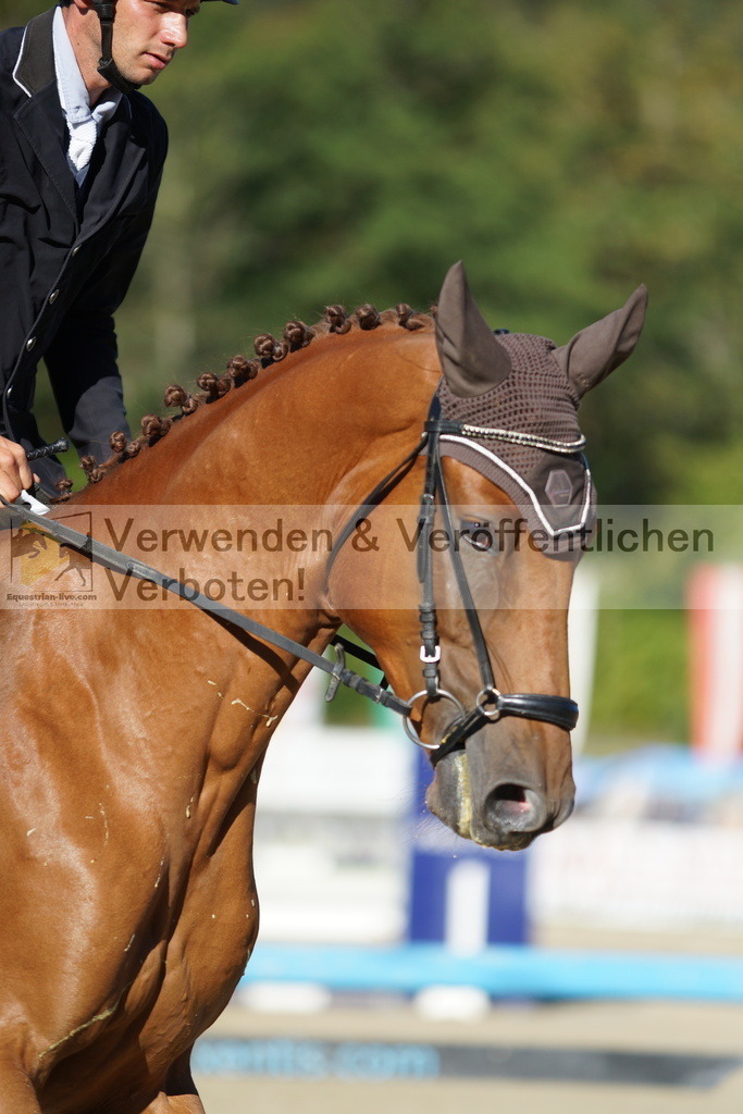 DSC08261 | equestrian-live-com