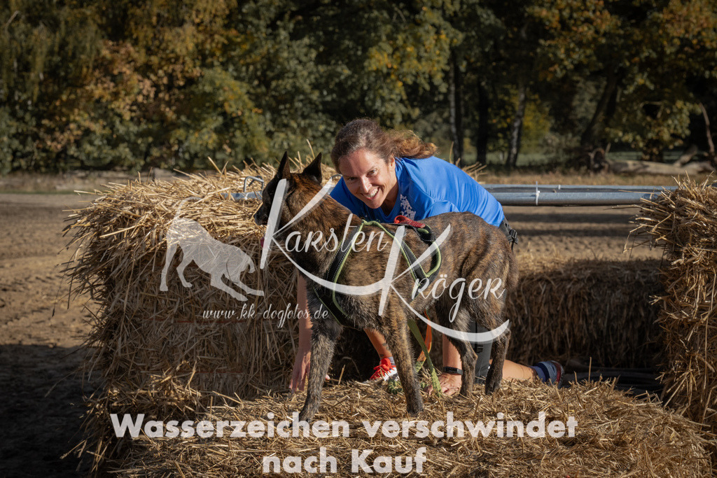 1053_ZZ99478 | kk-dogfotos