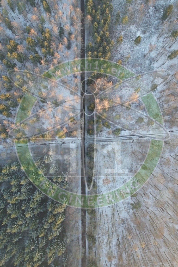 Wald Ruschwedel 3 | h1media - Realisiert mit Pictrs.com