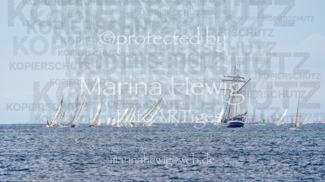 ClassicWeek-3_MarinaHewig | Fotografie, FotoArt, PferdesportArt, Pferdesportfotografie, Landschaftsfotografie, Reisefotografie, Reise, Pferde - Realisiert mit Pictrs.com