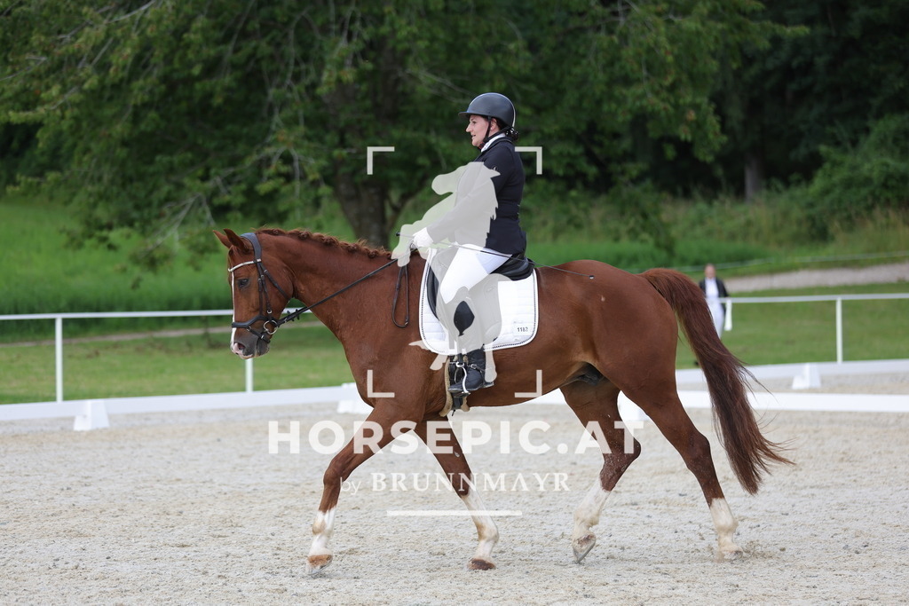 0P6A9671 | Willkommen bei Brunnmayr - Design & Fotografie – Ihrem Spezialisten für Reitturniere und Pferdeveranstaltungen in Oberösterreich, Salzburg und Bayern! Seit über 17 Jahren sind wir leidenschaftlich dabei.