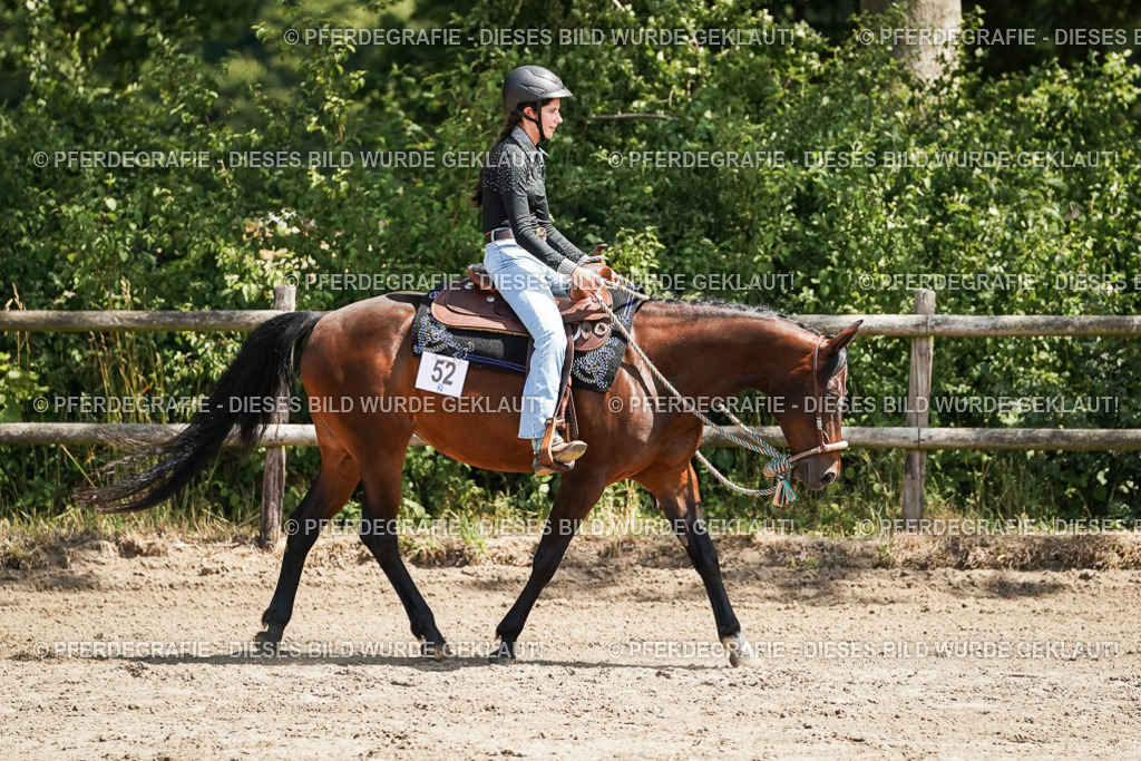 DSC07685 | Pferdegrafie