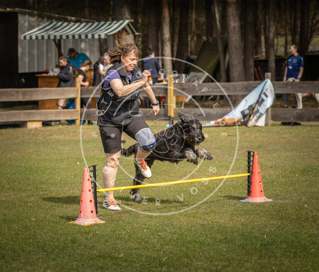 Pfotenfotografie_DV3A9223 | Hundefotografie, Tierfotograf, Pfotenfotografie, Fotoshooting Hund, Hunde Portrait, Hundesport, Hundeportraits, Heideshooting, Hunde, Sportfotograf, Hundefotograf, Turnierhundsport, THS,  - Realisiert mit Pictrs.com