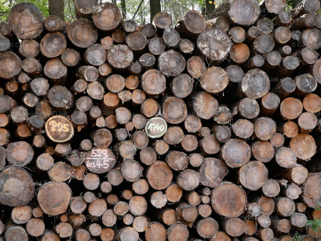 P1000487 | Stockfotos, Fotos mit Miniaturfiguren und kreativen Ideen. Dabei auch vieles aus der Metropolregion Rhein-Neckar. 