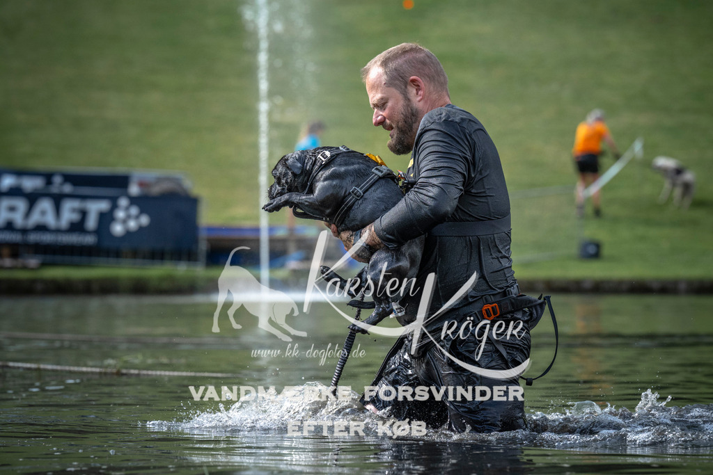 0837_ZZ99797 | kk-dogfotos