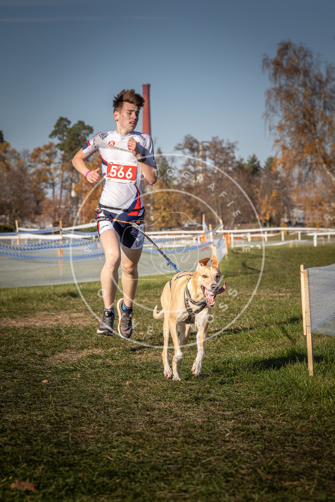 CaniXpix_0L8A8024 | Hundefotografie, Tierfotograf, Pfotenfotografie, Fotoshooting Hund, Hunde Portrait, Hundesport, Hundeportraits, Heideshooting, Hunde, Sportfotograf, Hundefotograf, Turnierhundsport, THS,  - Realisiert mit Pictrs.com