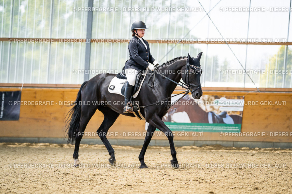 DSC04382 | Pferdegrafie