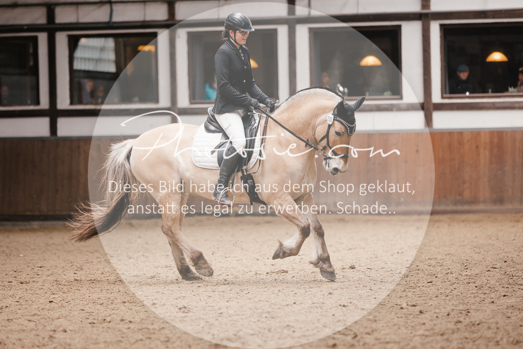 3I6A7567 | Stimmungsvolle Portraits und Reitsportfotografie im Ruhrgebiet und im Münsterland.

Pferdefotografie, Hundefotografie, Tierfotografie, Reportagen, Portraits von Tier und Mensch, Turnierfotografie in Bochum, Recklinghausen, Marl, Haltern am See, Dülmen.. - Realisiert mit Pictrs.com