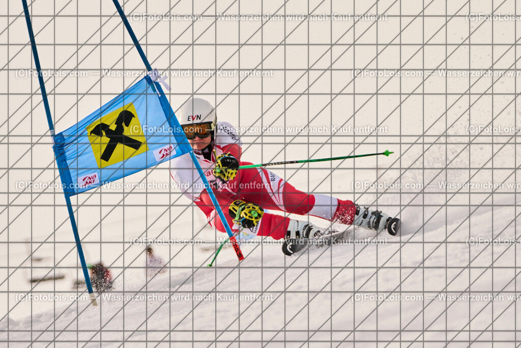 ALP8747_Herrn-FIS-GS-I_Lackenhof-WY_Schachinger Lorenz | Internationaler FIS GiantSlalom der Herrn auf der Distelpiste in Lackenhof am Mo 10. März 2025.  Österreich, LSV-NÖ, Sportunion Waidhofen/Ybbs (2035).