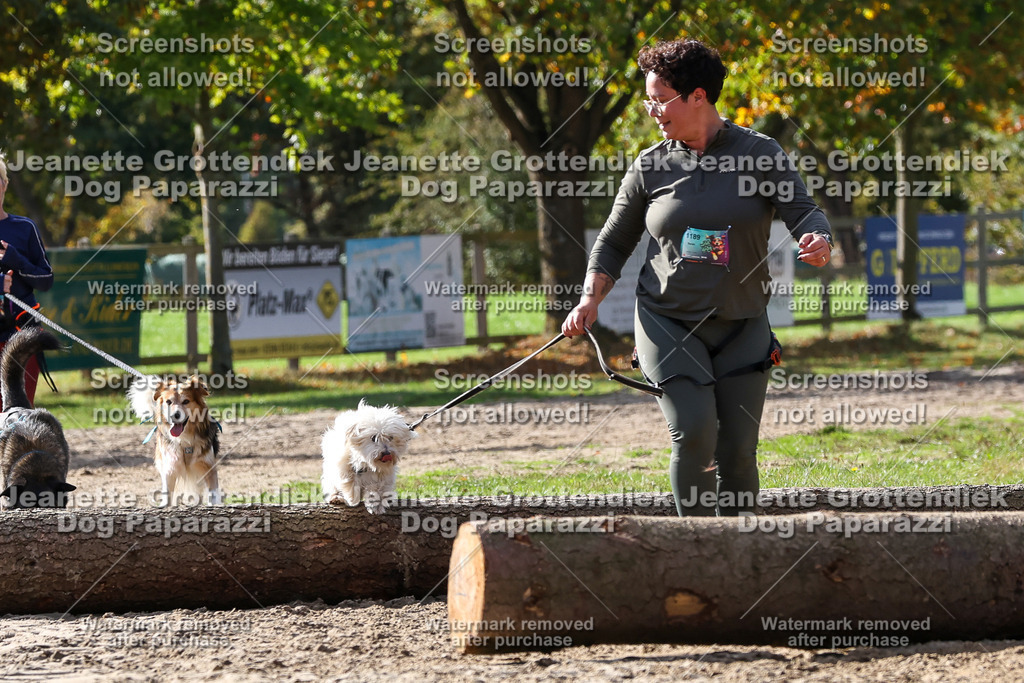 Dog Paparazzi - Strongdog 10-25-5543 | Dog Paparazzi Jeanette Grottendiek Fotografie & Videografie - Realisiert mit Pictrs.com