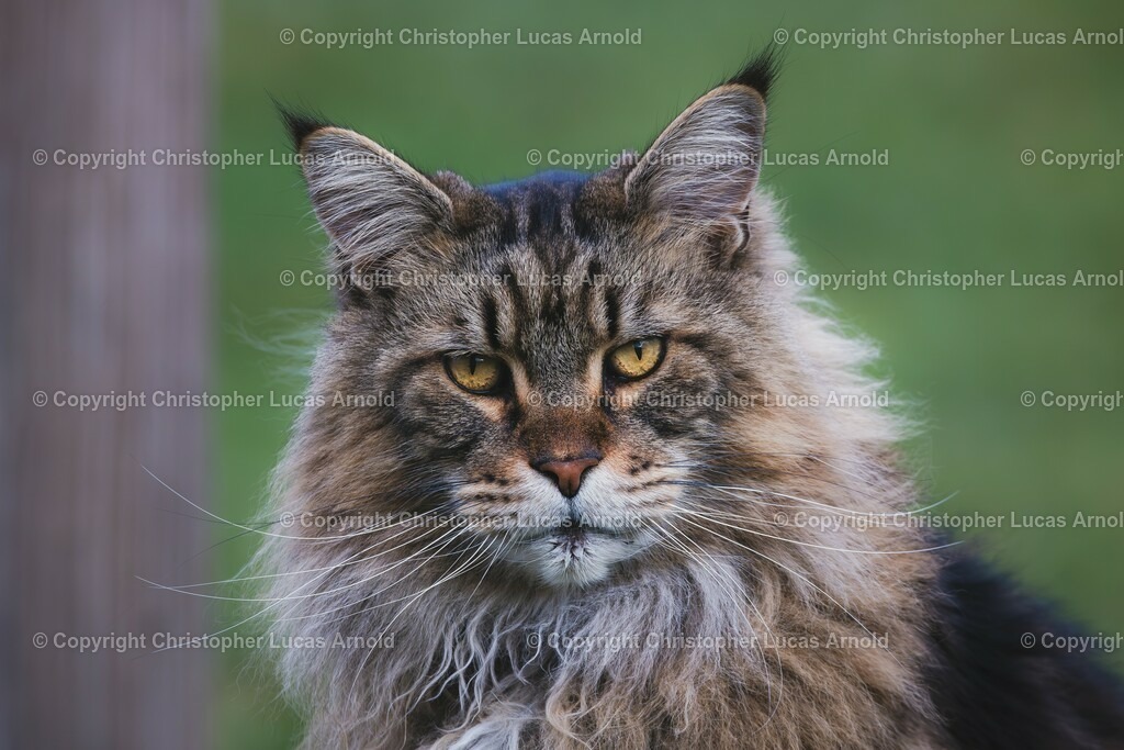 07 | bildkomponist - Realisiert mit Pictrs.com