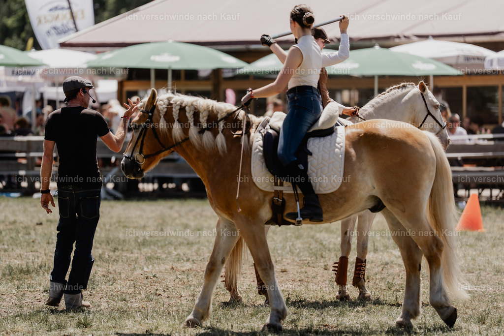 _DSC6975 | working equitationturnier fotograf videograf stoibphotography marixx film working equitation deutschland reitsport turnierfotografie eventfotografie equestrian events