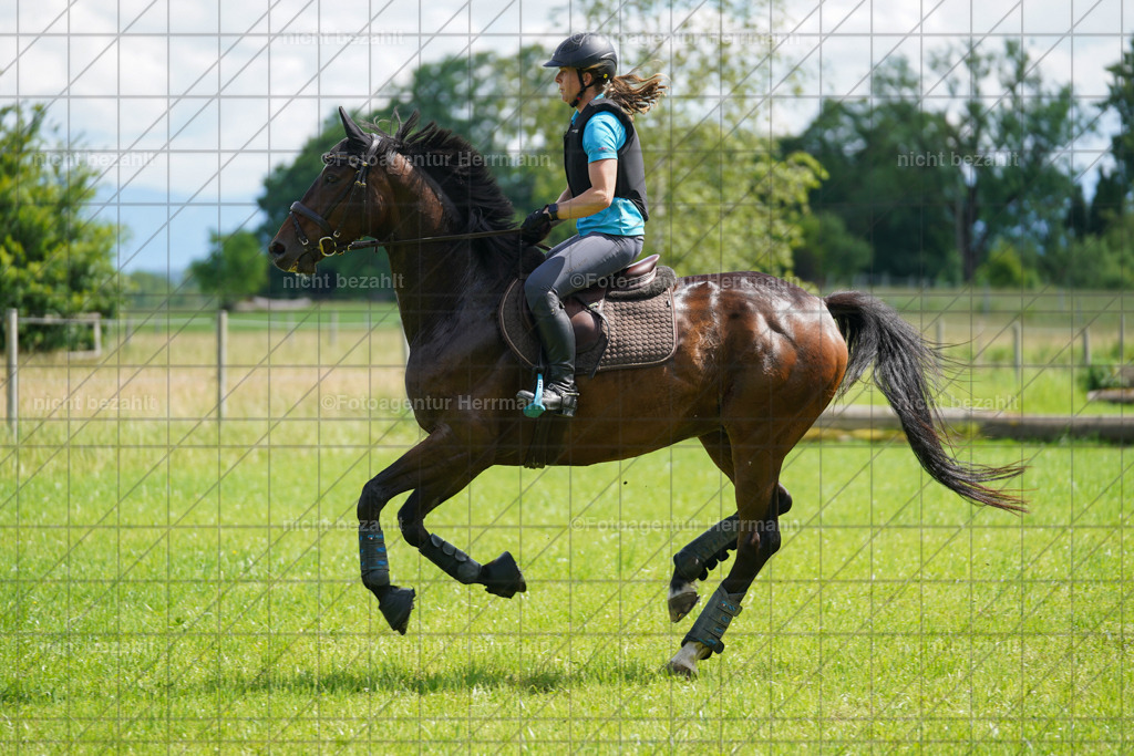 20240622-FAH07722 | Turnierfotografen Bayern, Reitsportbilder aus dem Geländekurs mit Felix Etzel auf dem Gut Waitzacker 2024