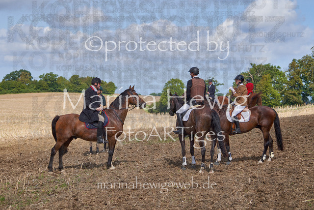 _MCH8096_Marina Hewig | Fotografie, FotoArt, PferdesportArt, Pferdesportfotografie, Landschaftsfotografie, Reisefotografie, Reise, Pferde - Realisiert mit Pictrs.com