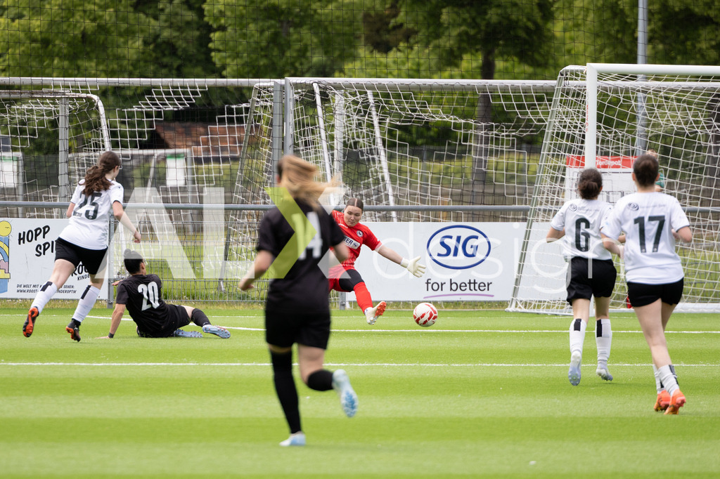 Fußball I Frauen I Saison 2025-2026 I Frauen 3. Liga | FVRZ Gruppe 2 | 18. Spieltag I Spielvereinigung Schaffhausen Damen 1 - Team Furttal Zürich I 17.05.2026 | Hochwertige Sportfotos kaufen & lizenzieren für Medien, Vereine, Agenturen & Sportler:innen. Entdecke professionelle Sportfotografie im Bildshop von Alexander Franzen. - Realisiert mit Pictrs.com