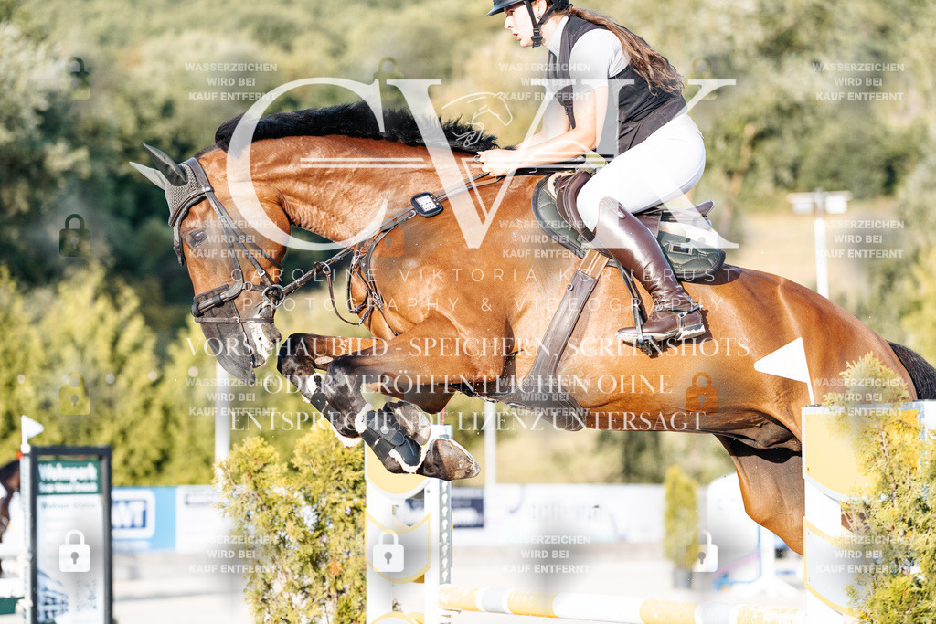CK900815 | Turnierfotografie Pferdefotografie Trier Rheinland-Pfalz Pferdesport Reitsport Tierfotografie Sportfotografie Pferdevideo Pferdevideografie Equestrianvideography equestrianphotography  - Realisiert mit Pictrs.com