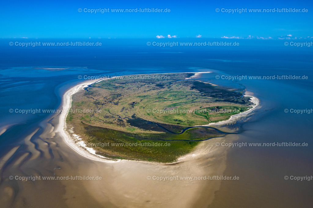 Mellum_ELS_9101170423 | BUTJADINGEN 17.04.2023 Küsten- Landschaft mit Salzwiesen auf der Insel Mellum in Butjadingen im Bundesland Niedersachsen, Deutschland. Weiterführende Informationen bei: Wangerland Touristik GmbH. // Coastal landscape with salt marshes on the island of Mellum in Butjadingen in the state Lower Saxony, Germany. Further information at: Wangerland Touristik GmbH. Foto: Martin Elsen