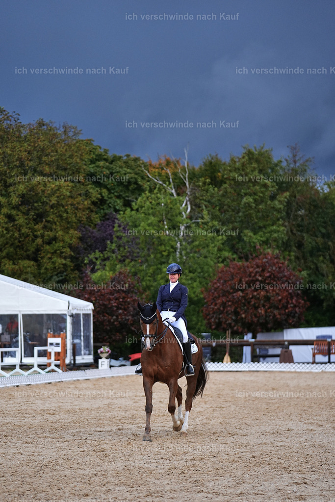 8_2-195-DRESSUR S_  -Marixx-4627 | working equitationturnier fotograf videograf stoibphotography marixx film working equitation deutschland reitsport turnierfotografie eventfotografie equestrian events