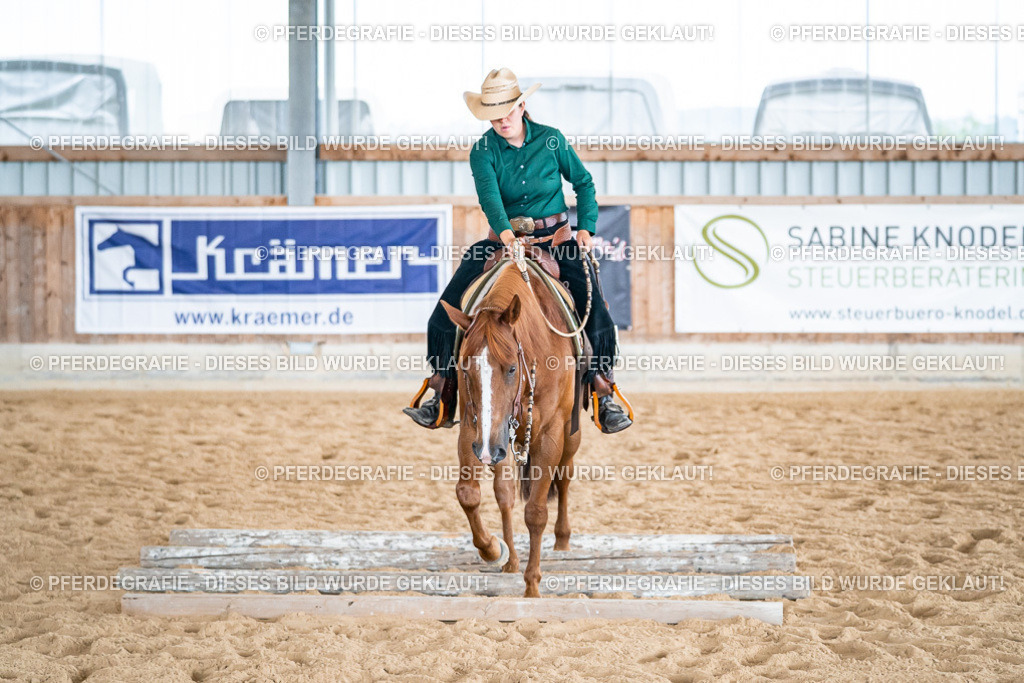 DSC03764 | Pferdegrafie