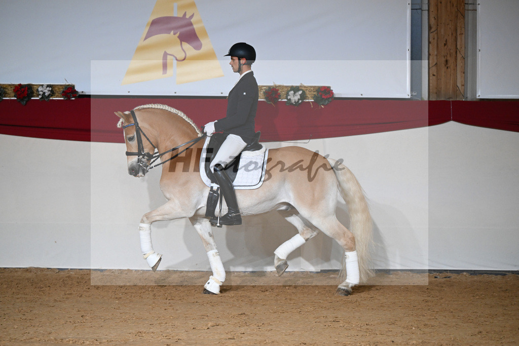 Amiro_1234344 | hf-fotografie - Realisiert mit Pictrs.com