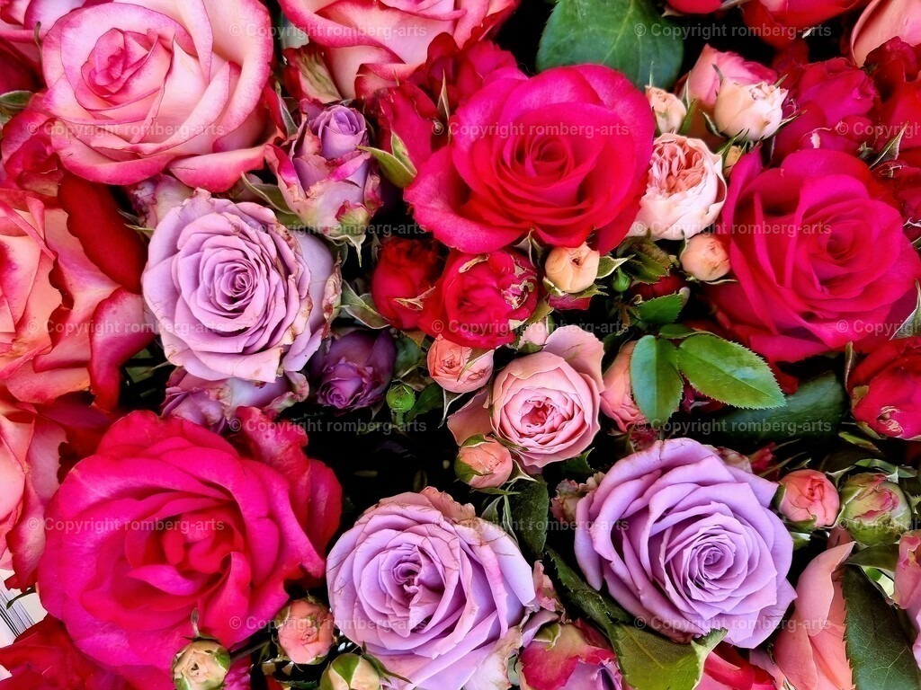 Roses1 | Rosen, Rosenstrauß, Blumen, Blumenstrauß, Blumenmeer