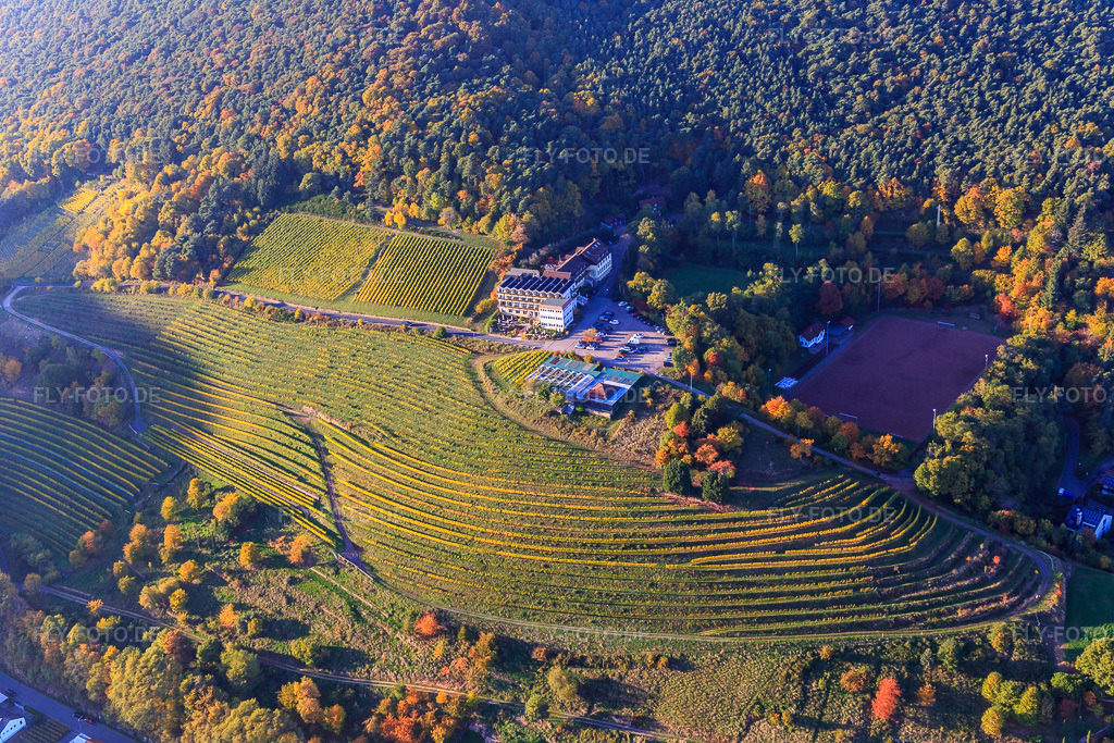 Luftbild: Arens Hotel 327m NN zwischen Wald, Sportplatz Sankt Martin und herblisch gefärbten Weinreben im Ortsteil SaintMartin in Sankt Martin im Bundesland Rheinland-Pfalz in Deutschland. Foto: IMG_095634.jpg vom 30.10.2016 durch Werner Riehm/FLY-FOTO.deArens 327
