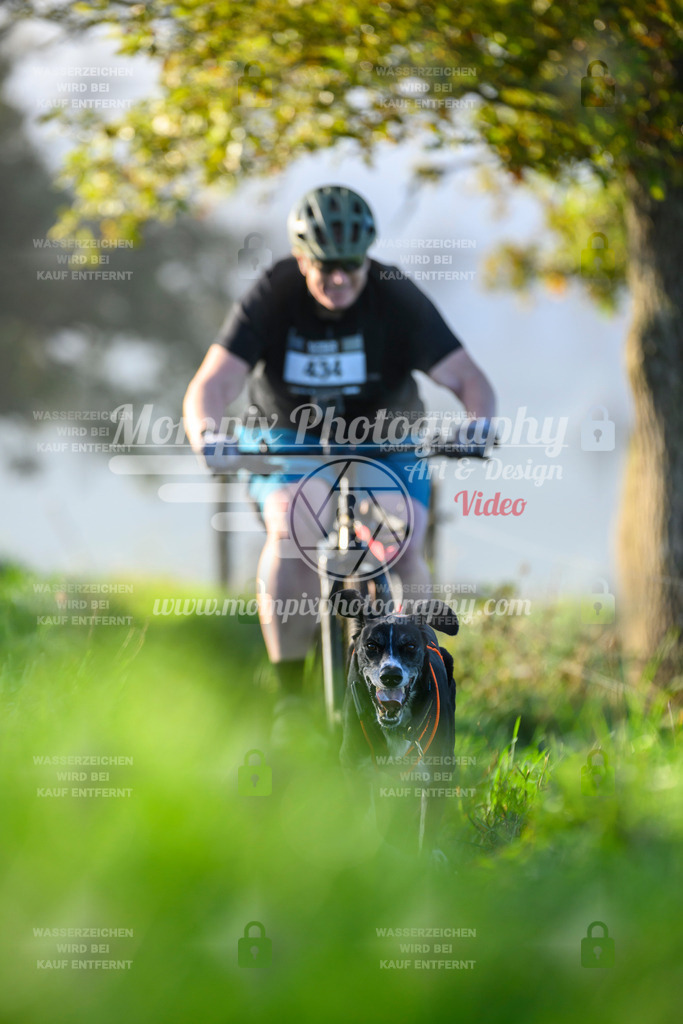 MompixPhotography_20TSB_E3_Bike-209 | PayLife