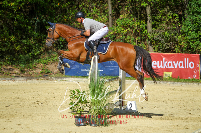 DKP43332 | Turniersportfotografie; Pferdefotografie; Dressurfotografie