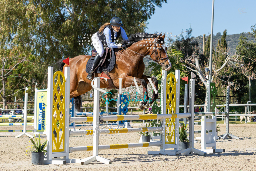 IMG_0168 | s-jay-photography - Realisiert mit Pictrs.com