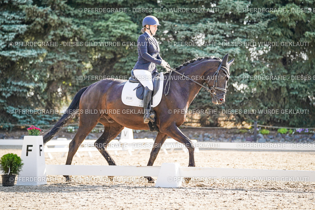 DSC09530 | Pferdegrafie