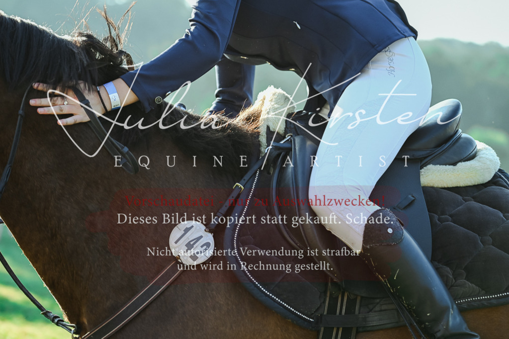 DSC_3991 | Pferde- und Turnierfotografie in Westsachsen. Pferdeportraits, Auftragszeichnungen und intuitive Kunst.