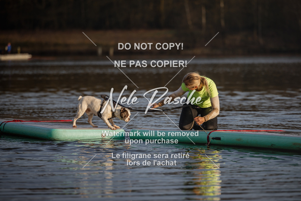 nelerasche_Hulsbeek_Sa1700-1730_239 | nelerasche