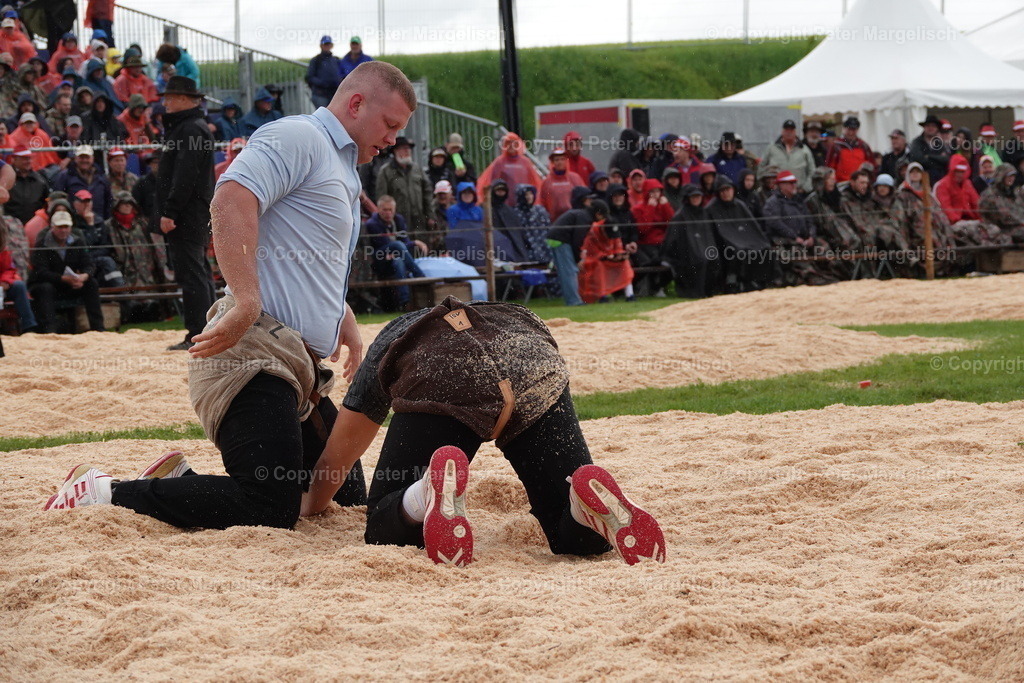 DSC00731 | Schwingen - Realisiert mit Pictrs.com