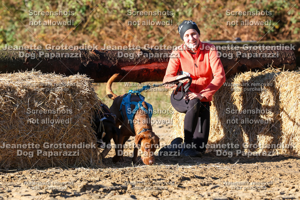 Dog Paparazzi - Strongdog 10-25-1384 | Dog Paparazzi Jeanette Grottendiek Fotografie & Videografie - Realisiert mit Pictrs.com