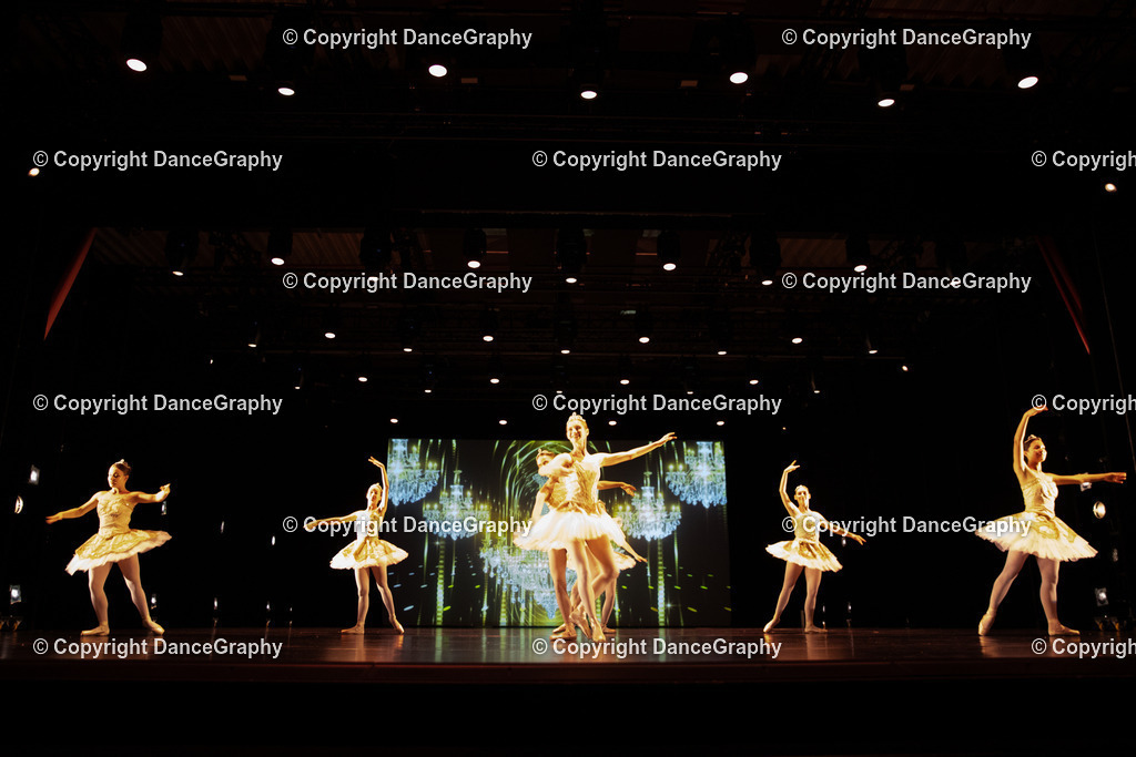 GPHY5341 | DanceGraphy - Realisiert mit Pictrs.com