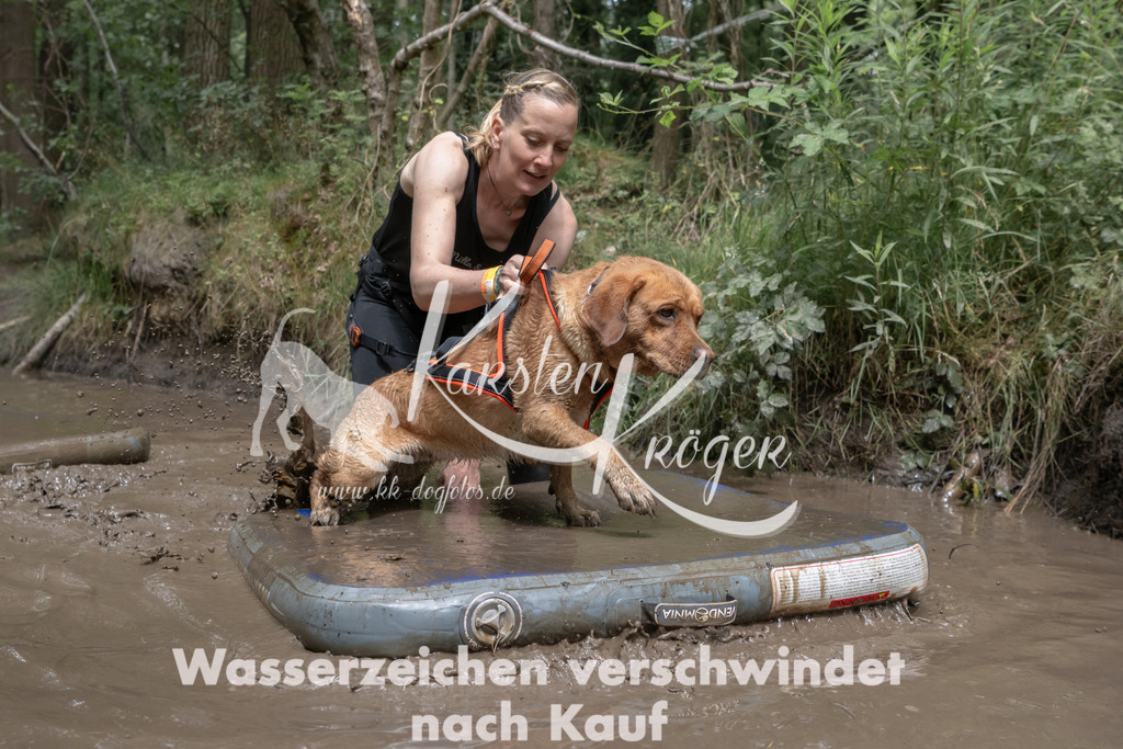 1333_ZZ94619 | kk-dogfotos