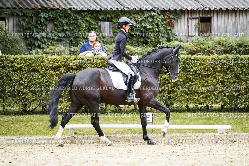 DSC09710 | Pferdegrafie