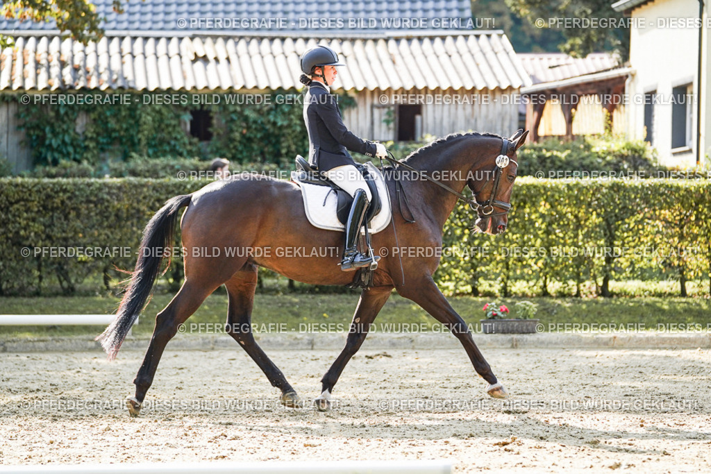 DSC06893 | Pferdegrafie