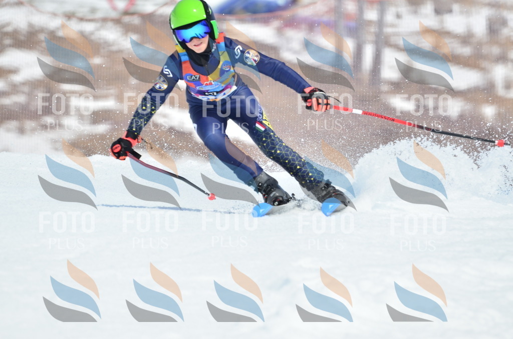 _ELE2327 | holidayphoto