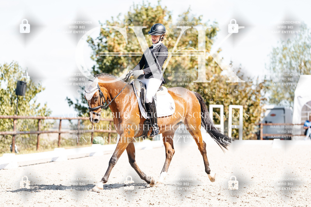 CK903672 | Turnierfotografie Pferdefotografie Trier Rheinland-Pfalz Pferdesport Reitsport Tierfotografie Sportfotografie Pferdevideo Pferdevideografie Equestrianvideography equestrianphotography  - Realisiert mit Pictrs.com