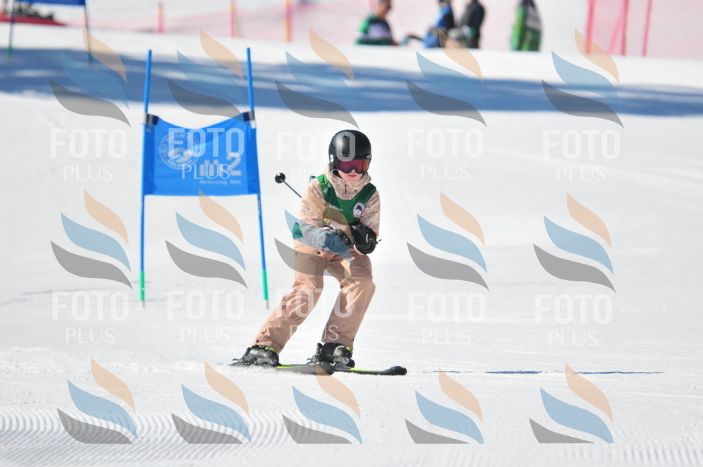 C3253 | holidayphoto