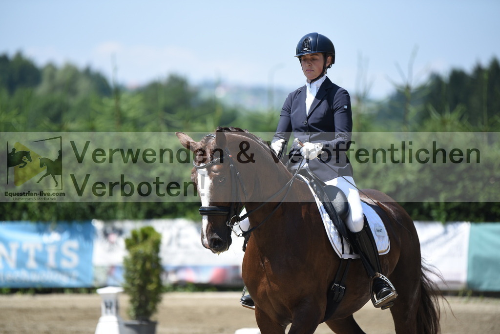 DSC_0717 | equestrian-live-com