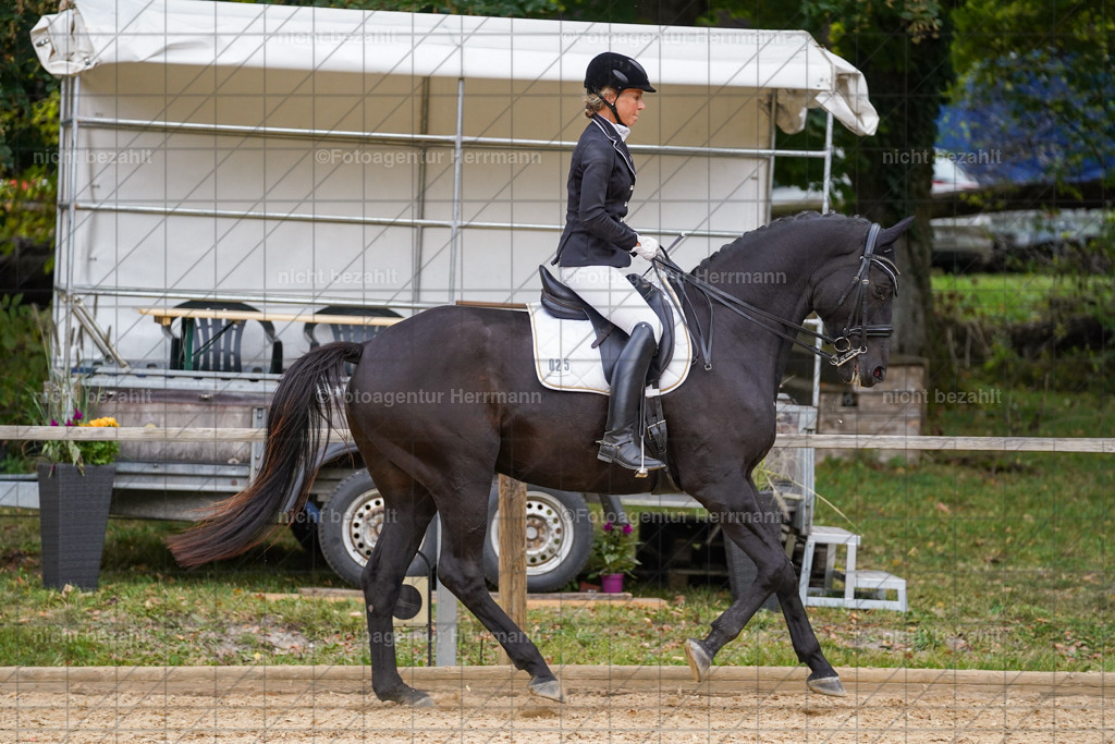 20231007-SN_00887 | Professionelle Turnier- und Reitsportfotografie - mit dem Finger am Auslöser. Pferdebilder aus dem Reitsport von den Turnierfotografen  Bayern , Pferdefotograf Bayern, Pferdeshooting Turnierbilder, Hochzeitsfotograf, Eventfotograf, Hochzeitsbilder