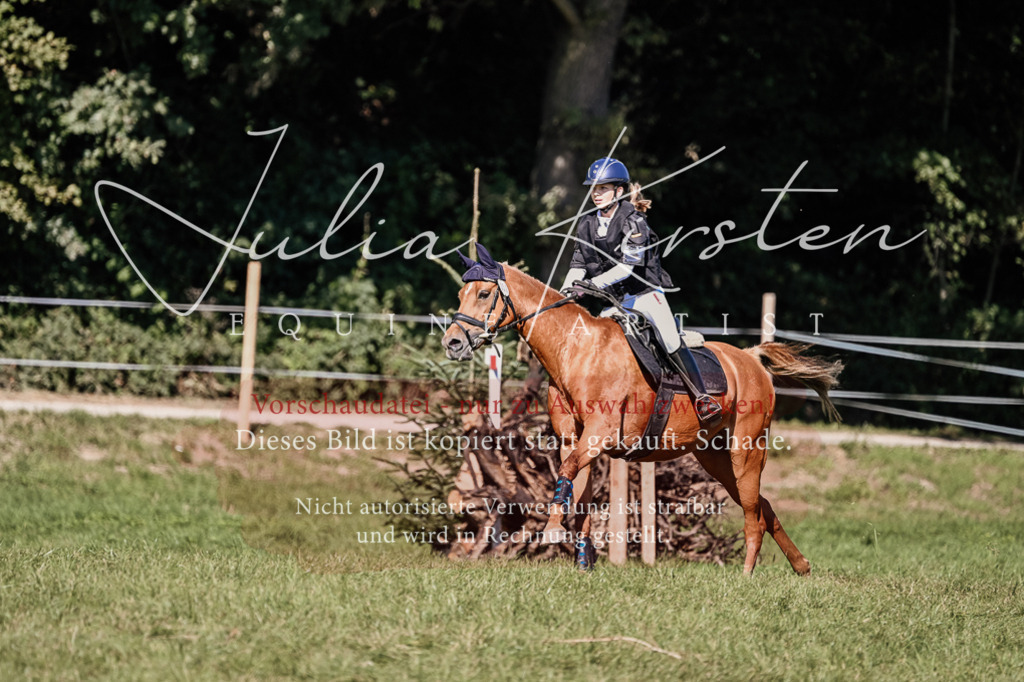 DSC_2988 | Pferde- und Turnierfotografie in Westsachsen. Pferdeportraits, Auftragszeichnungen und intuitive Kunst.